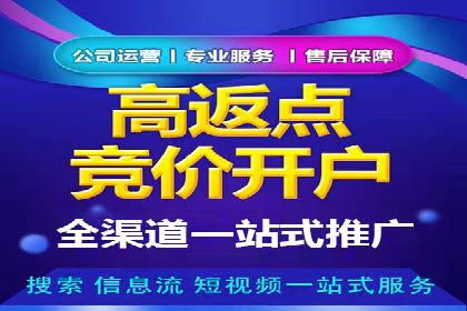 百度竞价账户管理工具推荐：实战案例与使用技巧